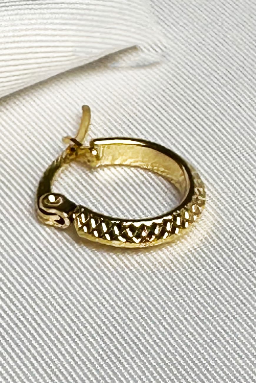 Snake Single Earring